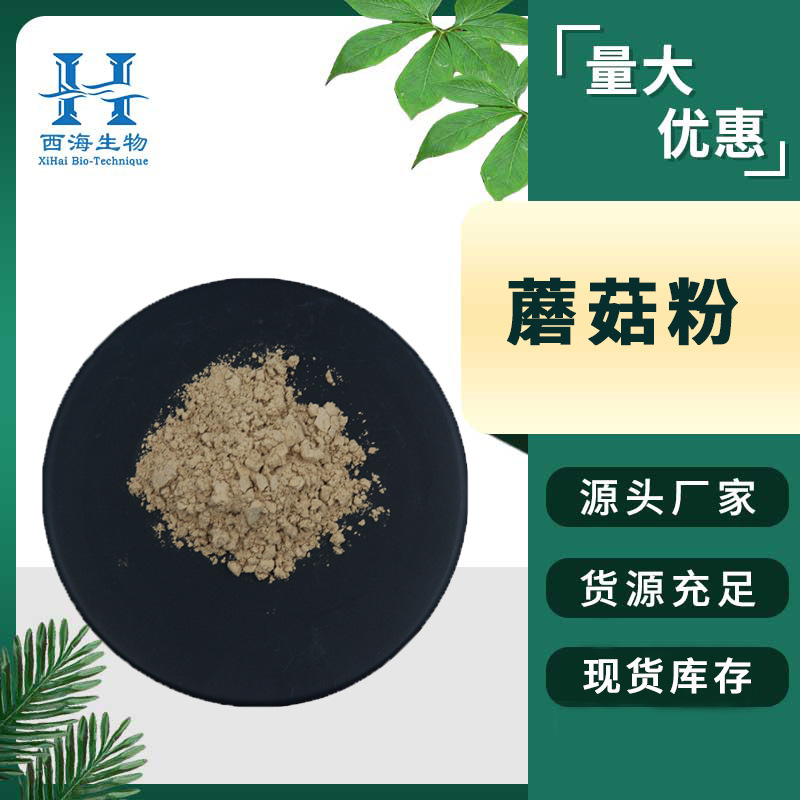 现货99%蘑菇粉 蘑菇提取物脱水蘑菇烘焙原料水溶性厂家直供蘑菇粉