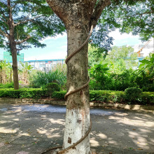 ���و@���b���ܛ�ܑ���늾���������ȼ���ϻ���ľ����E18