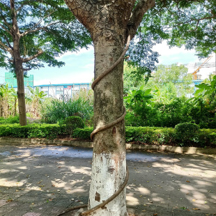 و@bܛܑ늾ȼϻľE18