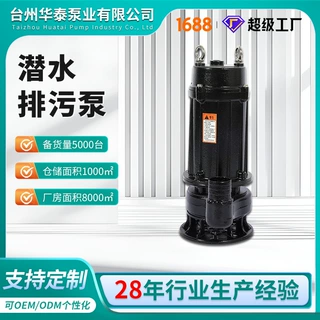 定制污水泵河道排污农用灌溉排涝水泵220v高扬程大流量铸铁污水泵