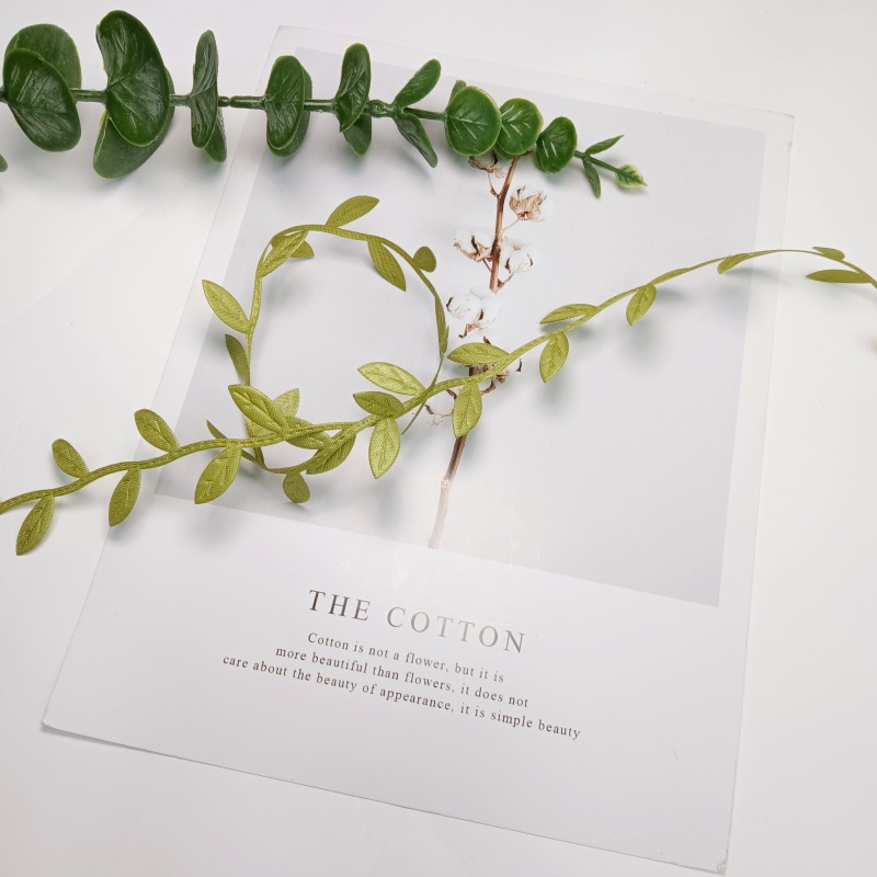 IMG_20221028_135333_副本