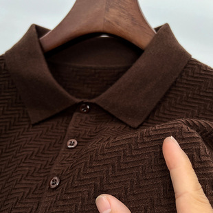 Autumn and Winter Woolen Knitwear Men's Business Casual Lapel Long-Sleeved Polo Men's Woolen Knitwear 6 Wool Knitwear Knitwear