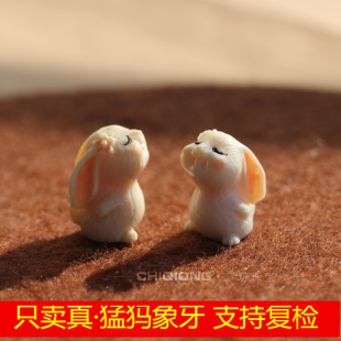 ����Ȼ�ͪw������̼� Ҋ���� С���� ��Ф������ DIY���