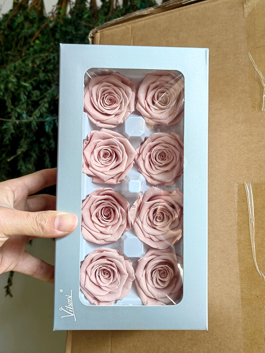 Eternal Rose head A -Class/B -Class Cabca Shengsheng Flower Handmade DIY Teacher's Day Gift Materials