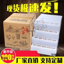 珍珠棉鸡蛋托家用土鸡蛋包装盒装寄快递防震防摔打包箱子批发