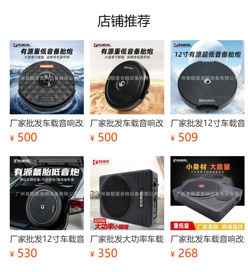 Manufacturer wholesale car audio modification high-power 12V active Class D heavy-duty 12inch car spare tire subwoofer