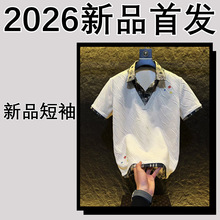 ��K2619��2026�ļ���Ǯ�������ʿPOLO��������䷭��T��