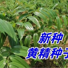 �S���N������ș���u�^�S���໨�ϻ����uצ��צ�Ӆ��S�u������N��