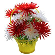 ���滨�ջ��@��Ĺ�������P����������������[�Ż�Ĺ���ω��b�