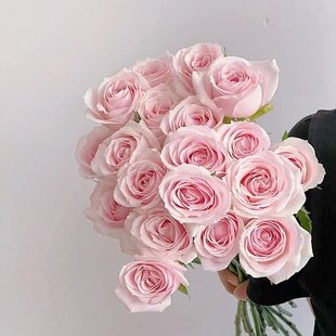 ��ɫС����õ���滨�r���ۼtѩɽ�r�л��ͶY���û������l�û�