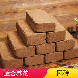 多肉植物栽培土价格 最新多肉植物栽培土价格 批发报价 价格大全 阿里巴巴