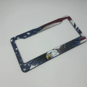 American Standard Aluminum Alloy License Plate Frame with Personalized Flying Eagle Full-Print Design, Thickened and Anti-Detachment, Export License Plate Holder, Customizable