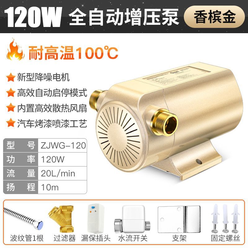 2022 뉴 샴페인 골드 (상점 주인 추천)