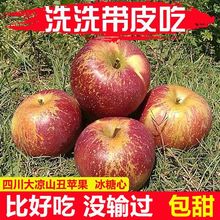丑蘋果大涼山冰糖心新鮮應季水果紅富士整箱廠家批發速賣通亞馬遜
