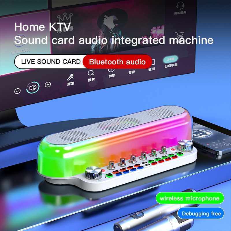 SY12英文跨境声卡音响一体机家庭k歌直播唱歌户外娱乐专业设备