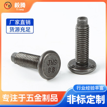 �̼����l8.8�����c�����ݽz��ɫ�����c��������c����˨��܇��˨