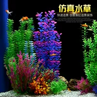 Aquarium, soft plastic green aquatic plants