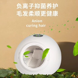 栽培基质;猫砂;造景石