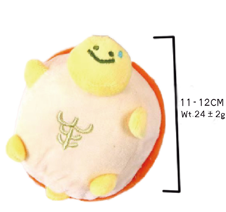 주황색 거북이