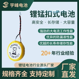 纽扣电池;锂电池;其他电池