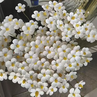 ����ֹ����_�m�ɻ����滨�Ҿ��b�ins�L��cDIY���Ŀ羳���l
