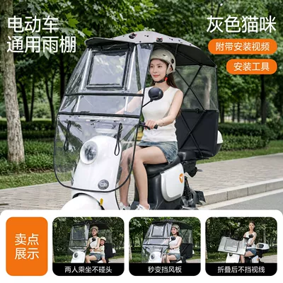 Wind Shield, Sun Protection, Elektromobil üçün ön şüşə çətiri (günlük) - gray-cat-there-are-rearview-mirrors