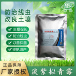厂家批发淡紫拟青霉菌生物菌肥 防治线虫  生物农药淡紫拟青霉