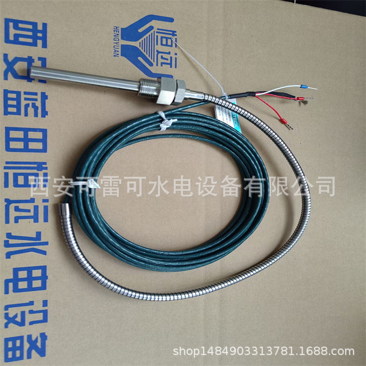 水电站机组上导下导水导热电阻S12PT100-200-30-3232双支测温电阻