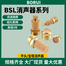 �����Ś����������������늴��y�o���^�V���߉����wBSL-1 2