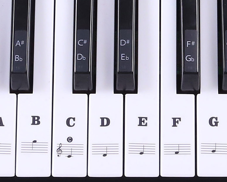 Piano keyboard stickers 88 keys 61 keys keyboard stickers five-line music note sound stickers piano key stickers free stickers