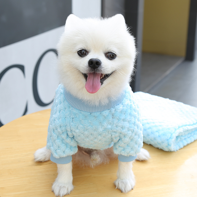 Casual Coral Fleece Bear Pet Clothing display picture 2