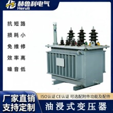 35KV�����ͽ�ʽ��ѹ��800kva˫�������������ص�ѹSSZ9����ѹ��