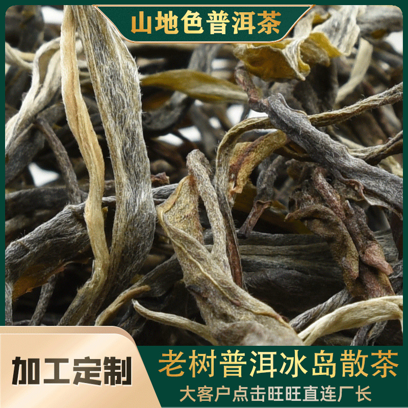 山地色品牌普洱云南大叶种晒青生茶500g散装性价比冰岛坝歪普洱茶