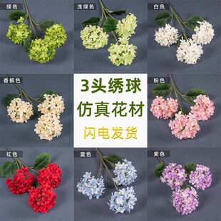 3�^�������߼��з����c�û��Ƶ���̨��Y����ľ����ٻ�����