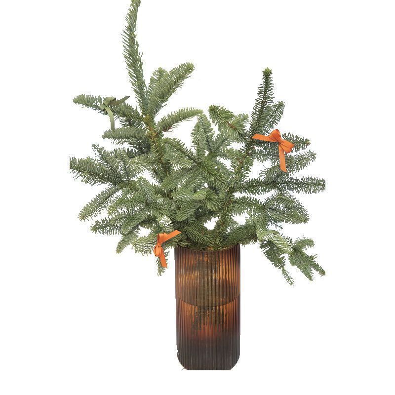 輸入の新鮮な諾貝松クリスマスツリーの花輪天竺少女柳杉蓬莱真松枝クリスマス装飾緑植|undefined