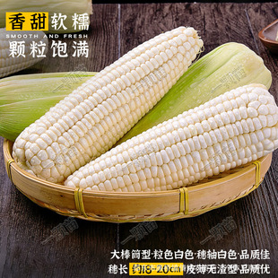 ����Ŵ���׷N�Ӹ߮a�ļ�����Ŵ���׷��D�����r�ҳ����Ŵ���׷N��