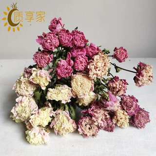 厂家批发芍药牡丹 干花花束 ins北欧乾燥花居家装饰 花束插花花材
