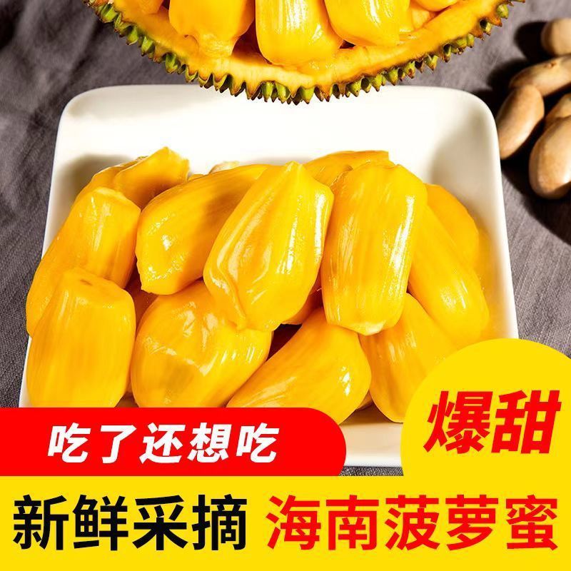 菠萝蜜现摘发货海南三亚新鲜水果当应季一整个黄肉波罗批发非红