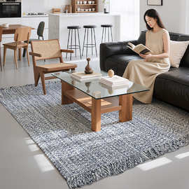 简约棉纱流苏家用地毯大面积卧室客厅全铺耐脏易打理沙发茶几地垫