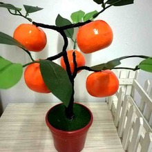 OӘ辰Sl55~ɢb؛^ˮ辰