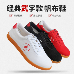 Ღtai Chi Shoes for Men and Women, Spring and Summer Tendon-Soled Canvas Shoes for Kidsren's Martial Arts Training