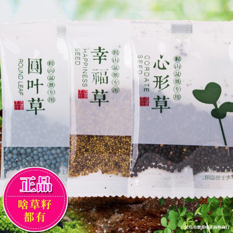 草籽种子吸水石上水石假山盆景造景装饰小叶恋石大叶恋石混装批发