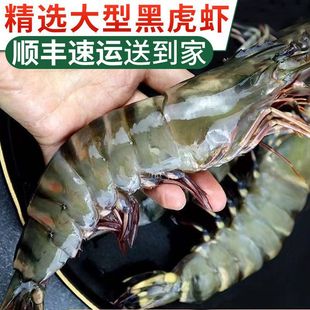 ���r�ڻ��r�ش��r�r������r�ϻ��r�Ź��r���r��S���]���l