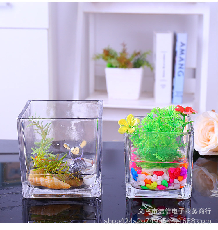 新品水培四方缸 多规格玻璃多肉 创意珠点长条缸居家摆件多肉水培