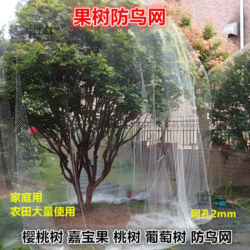 果树专用防鸟网樱桃树葡萄蔬菜防护罩尼龙网网罩果子防鸟网子批发