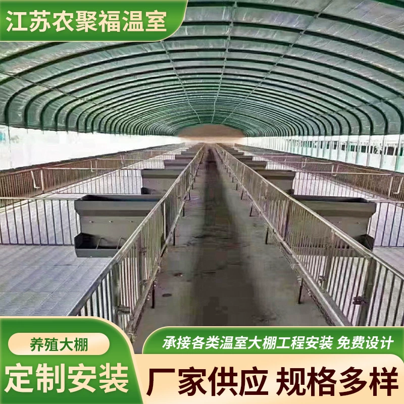 Производители устанавливают теплицы для разведения свиней и кур, изолированные теплицы для животноводства, а также строят теплицы для содержания скота.