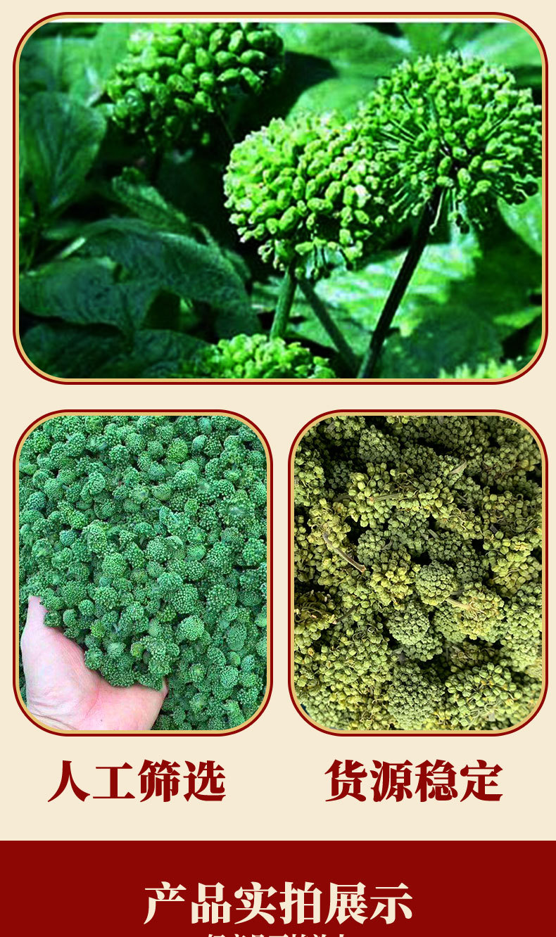San Qi Flower Tea 500g Panax Notoginseng Buds Yunnan Wenshan 2021 First Harvest overview