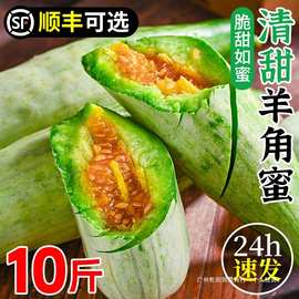山东羊角蜜甜瓜新鲜10斤当季水果香瓜整箱正宗头茬羊角脆蜜瓜包邮