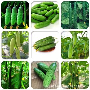 ߲˷NˮSϷNѴȫļSѷNˮSϷN