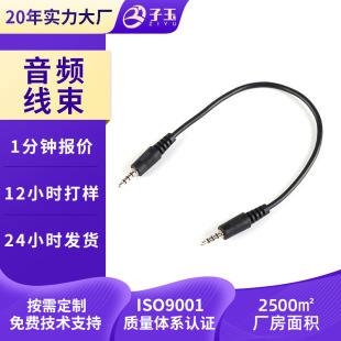 Shanghai Manufacturer Rca Audio Cable Video Input Wiring Harness Tpu Spring Wire Enameled Wire Tpe Processing Customization